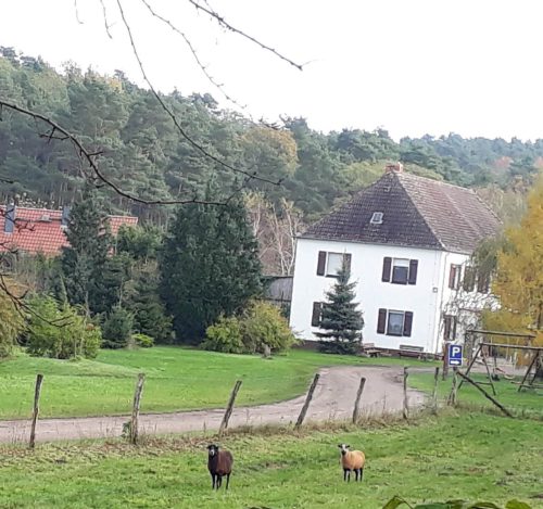 Blick-auf-Hof-vom-Weg